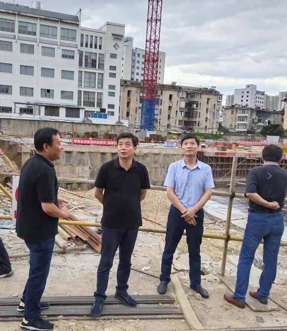 區(qū)委副書記、區(qū)長楊林調(diào)研重點(diǎn)項目