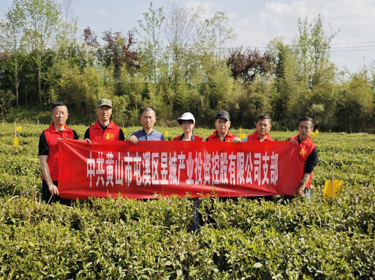 昱城產(chǎn)投公司黨支部開展“茶香潤(rùn)初心，黨旗映茶園”主題黨日活動(dòng)