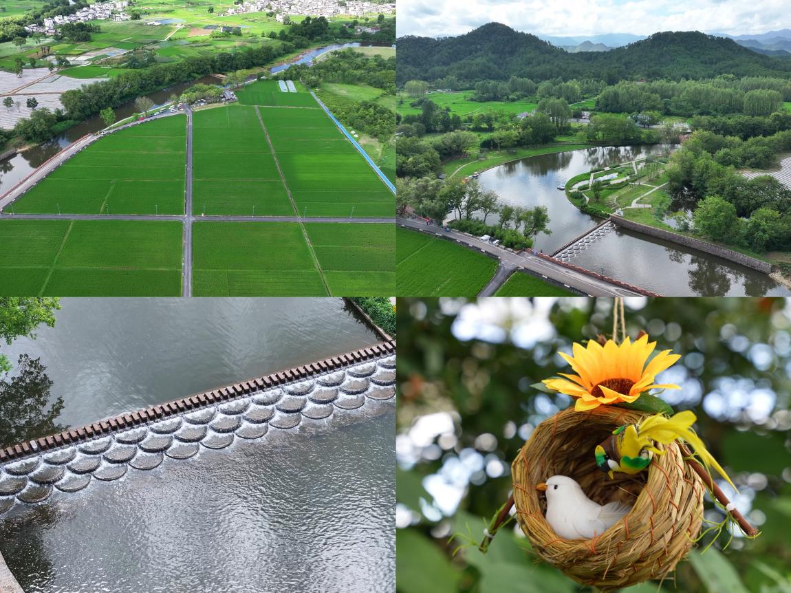 國(guó)企賦能鄉(xiāng)村振興 光影點(diǎn)亮文旅新篇