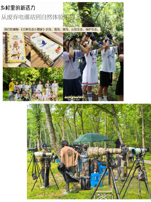 8000萬熱度炸屏！屯溪“護村小祖宗”聯(lián)動短劇頂級頭部平臺帶火綬帶鳥，短劇+文旅解鎖鄉(xiāng)村振興新密碼