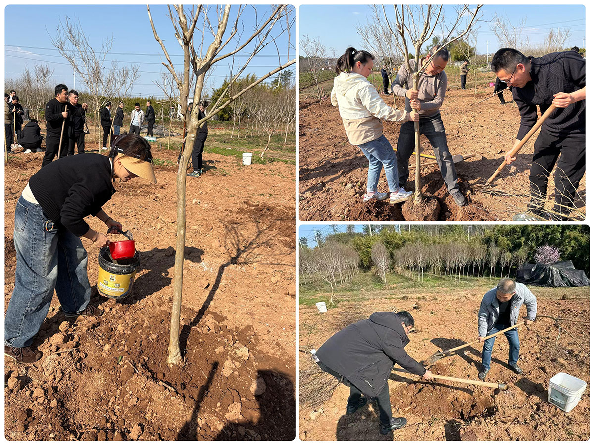 “攜手植樹(shù)聯(lián)建情”—城建投公司黨支部開(kāi)展3月份主題黨日活動(dòng)