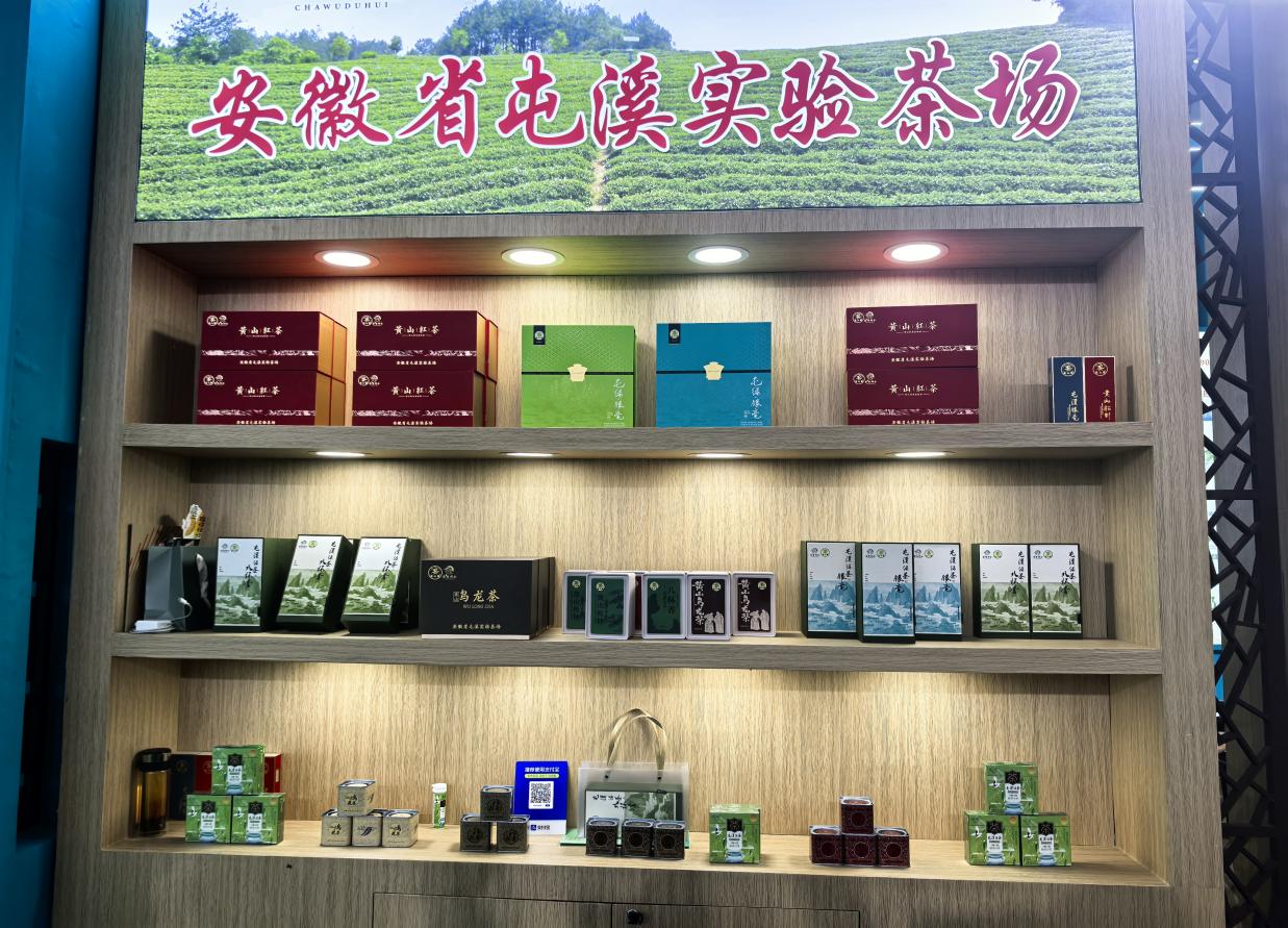 盛會展茗香 徽茶迎客來｜屯溪實驗茶場亮相2026第十八屆安徽國際茶博會